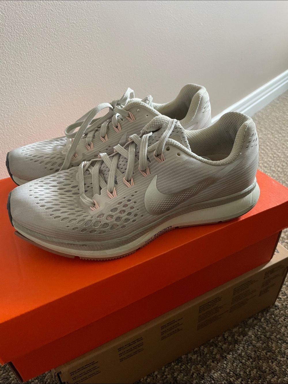 Nike Zoom Air Pegasus